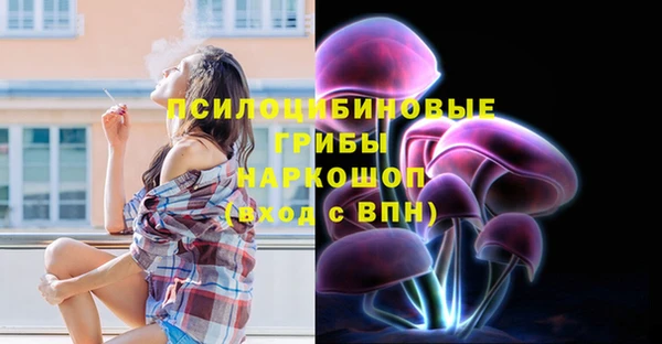 дмт Медвежьегорск