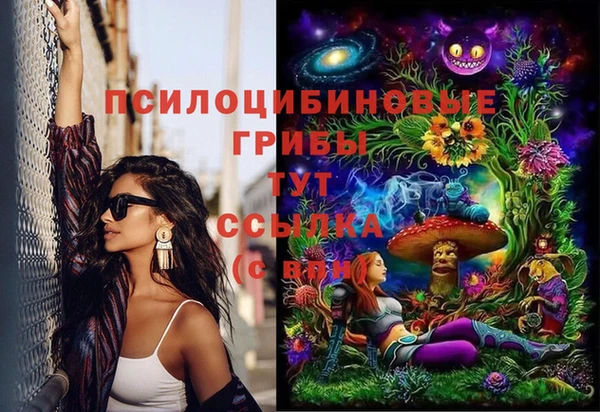 дмт Медвежьегорск