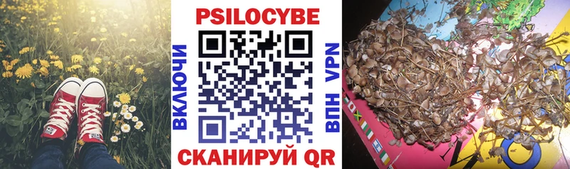 Псилоцибиновые грибы Magic Shrooms  где купить наркоту  Барнаул 