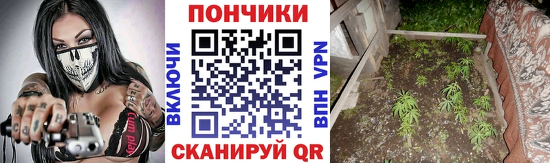 Шишки марихуана тримм  цены наркотик  Барнаул 